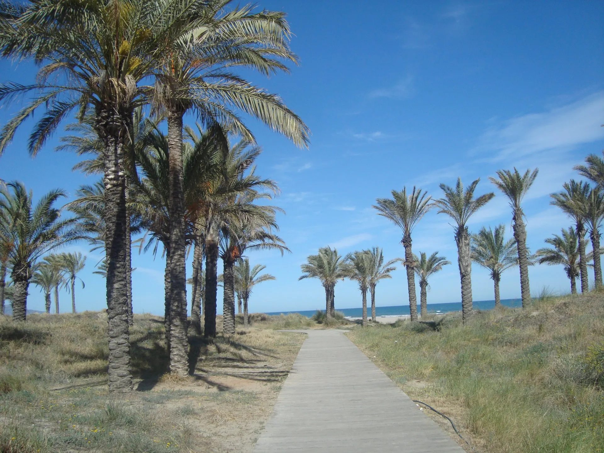 playa del planetario de Castellón lugar para ver el eclipse 2026